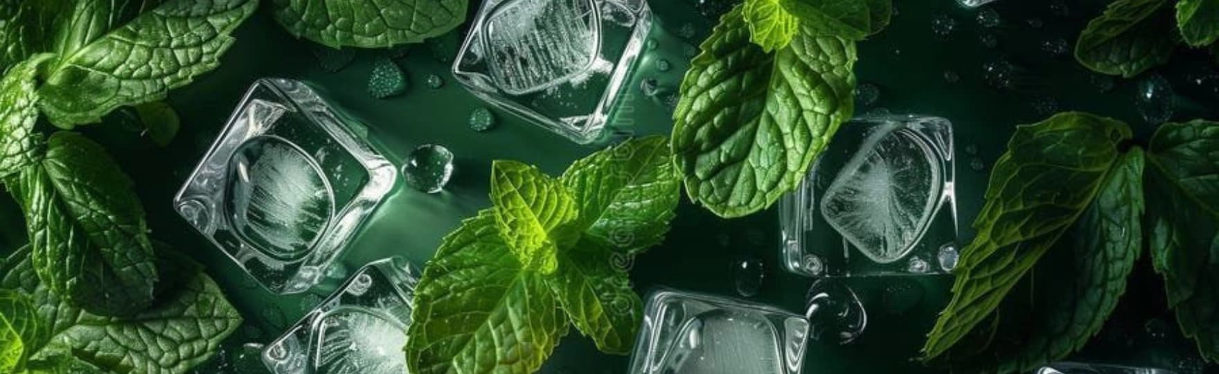 Mint & Menthol